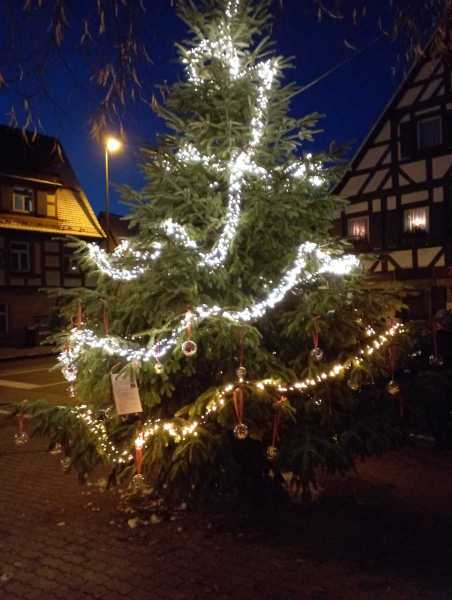 2023-12-07_Weihnachtsbaum_001