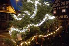 2023-12-07_Weihnachtsbaum_001