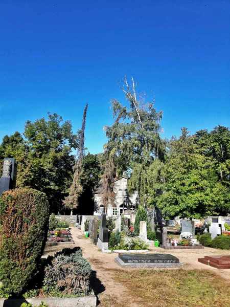 Friedhof_MonikaR-Kress_009