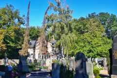 Friedhof_MonikaR-Kress_005---