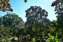 Friedhof_MonikaR-Kress_006