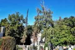 Friedhof_MonikaR-Kress_009