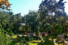 Friedhof_MonikaR-Kress_012