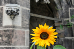 2023-09-29_Kirchenwalk-Bruck_@Karin-Guenther_01