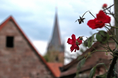 2023-09-29_Kirchenwalk-Bruck_@Karin-Guenther_20